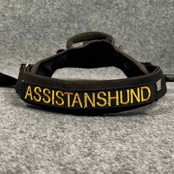 Assistanshund2 (4)