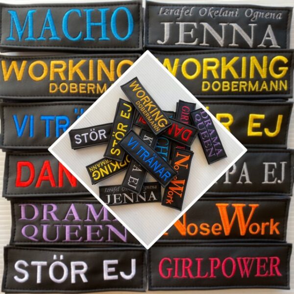 s577503654164065061_p62_i1_w3600